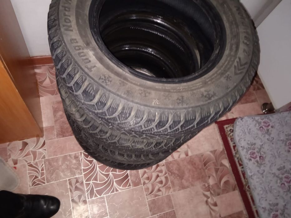 Шины зимные шины