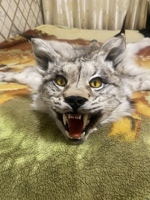 Продам ковёр рыси