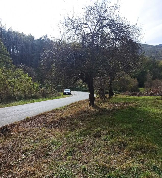 Продава се Парцел в Берковица - 1730 кв.м за 25 €/кв.м - Снимка #5