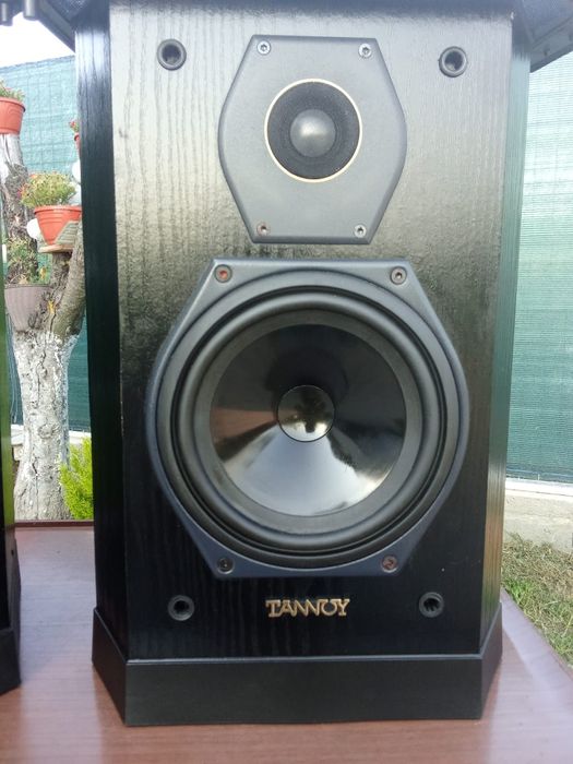 Boxe Rare  Tannoy 605