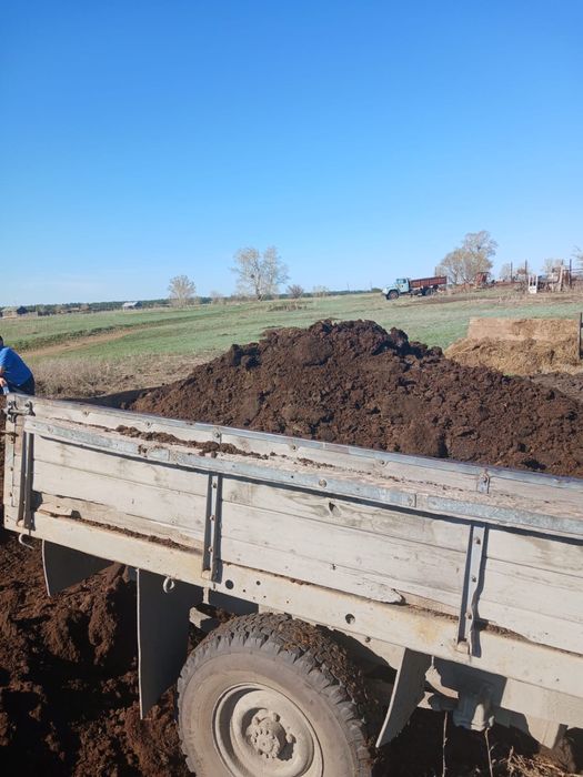 Продам навоз (перегной)