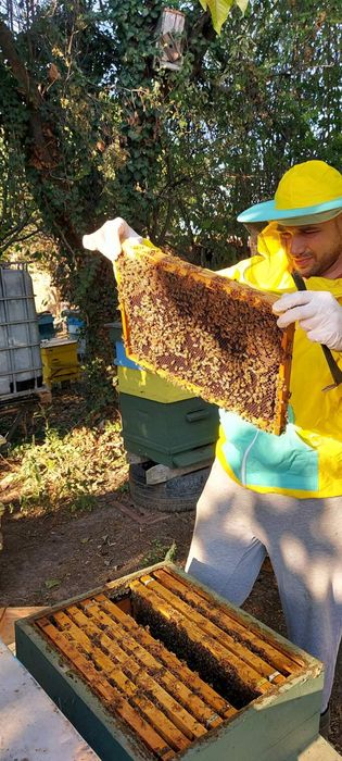 НАТУРАЛЕН Пчелен мед