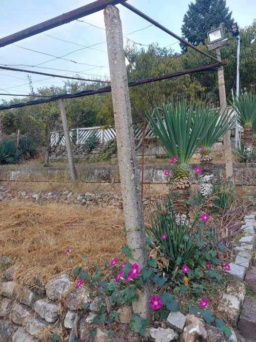 Продава се Къща в Шумен, м-т Чашка - 524 кв.м за 137 €/кв.м - Снимка #3