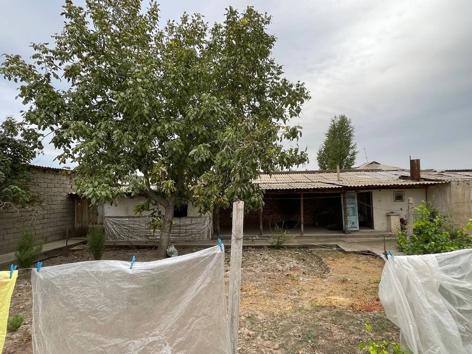 Кашкадарё вилояти Китоб тумани  Хамид Олимжон, Беруний кучаси 31-уй.