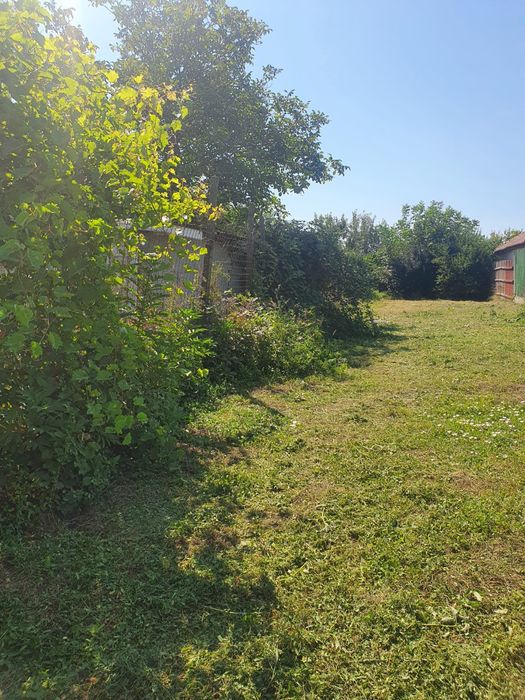 Vând teren în Palazu Mare