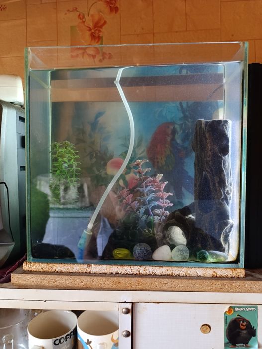 Продам аквариум 6 л