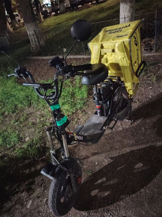 Elektronni skuter monster