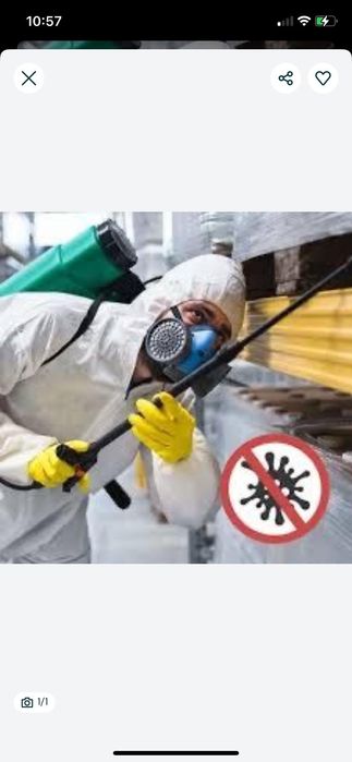 Уничтожение тараканов клопов блох мышей плесени