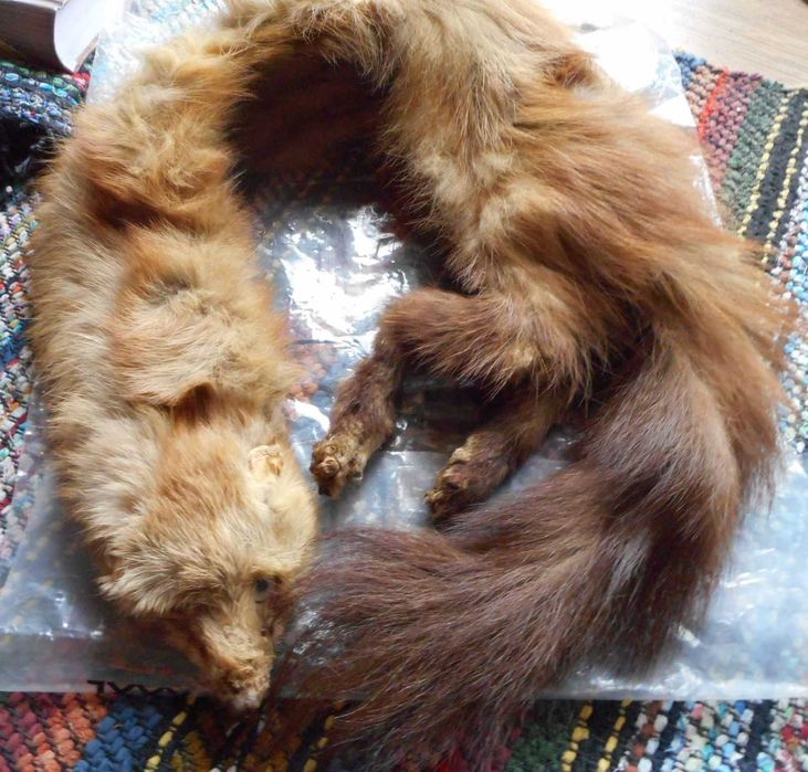 Продавам естествена животинска кожа / яка от истинска кожа