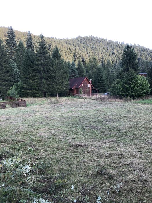 Teren intravilan 1200 mp Tarcau