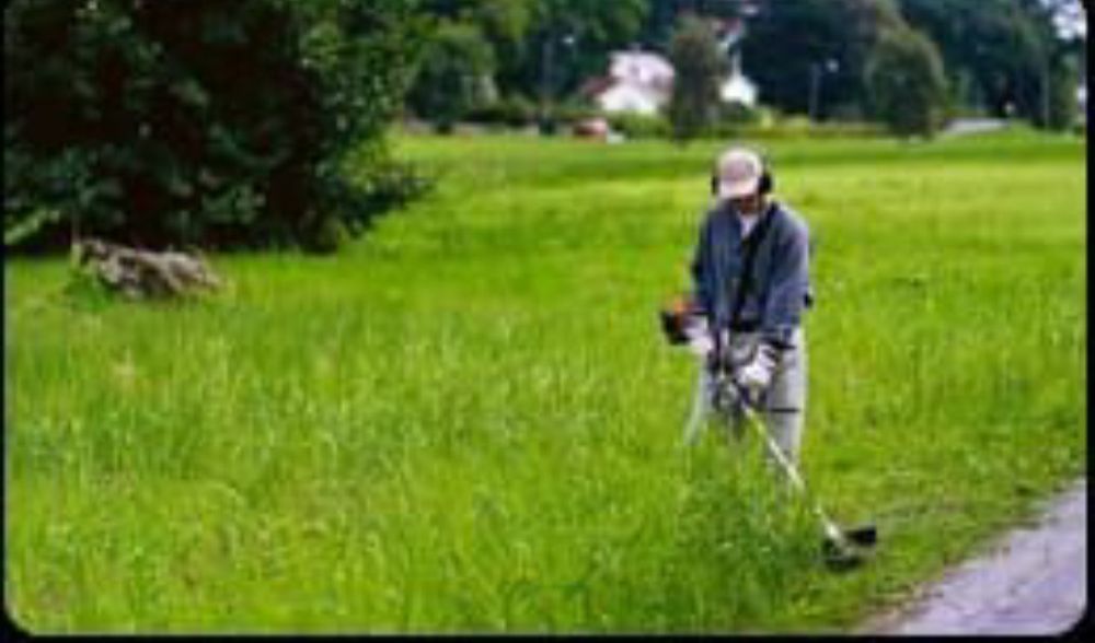 Услуги садовника