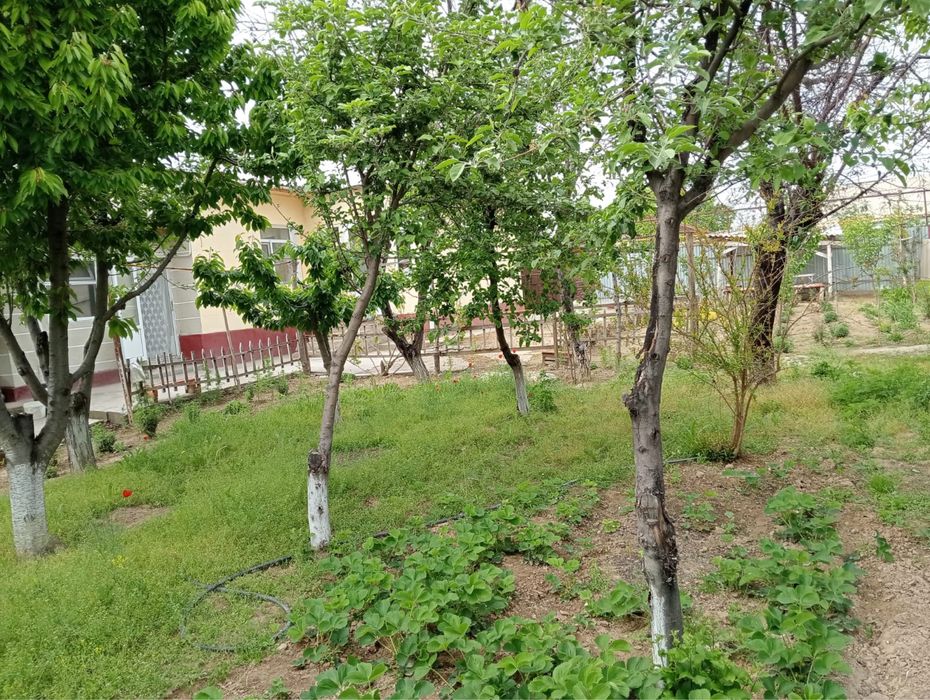 Сарыағаш қаласында үй сатылады