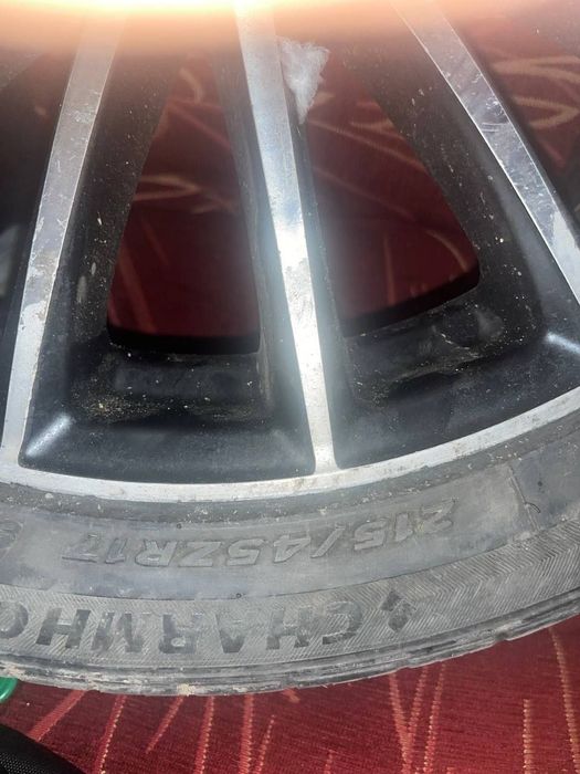 17 diska balon sotiladi