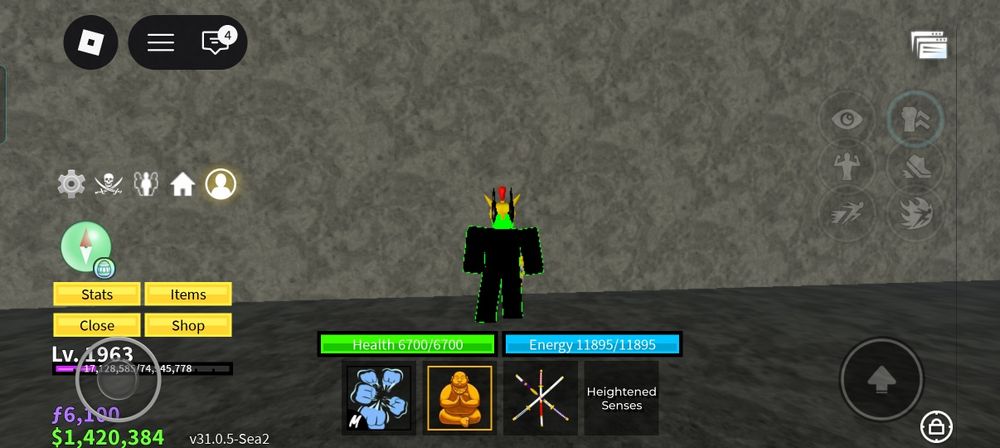 Roblox   account