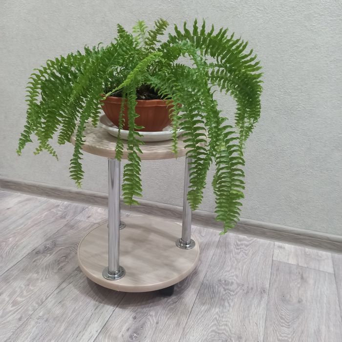 Продам комнатные растения