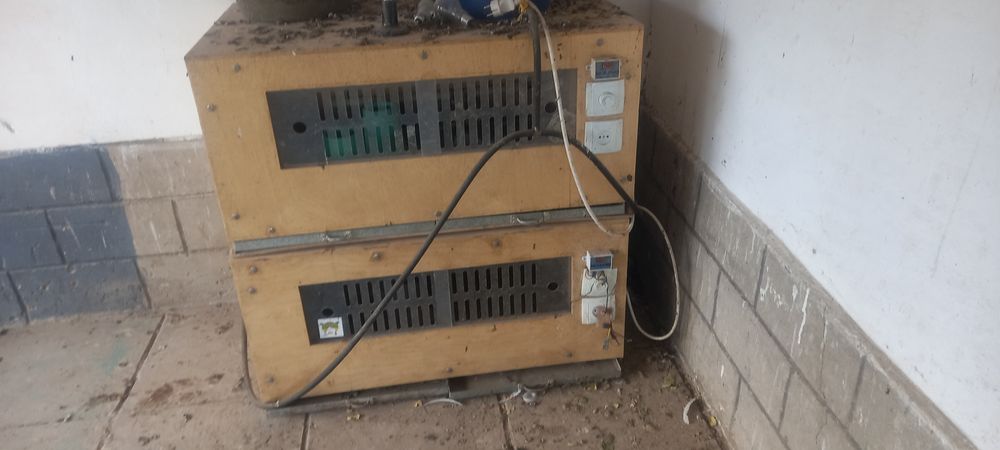 Брудер для цыплят