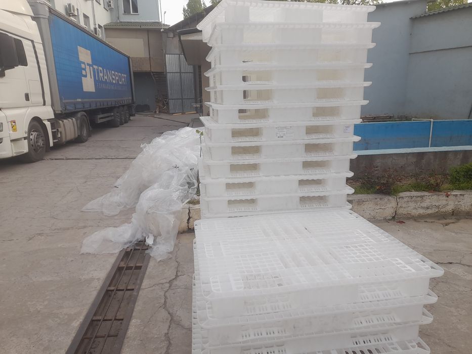 Продаётся поддоны российский