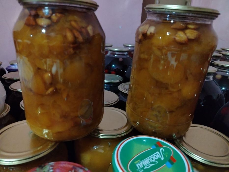 Мураббо ва кампотлар
