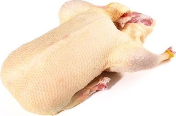 Утки домашние мясом.