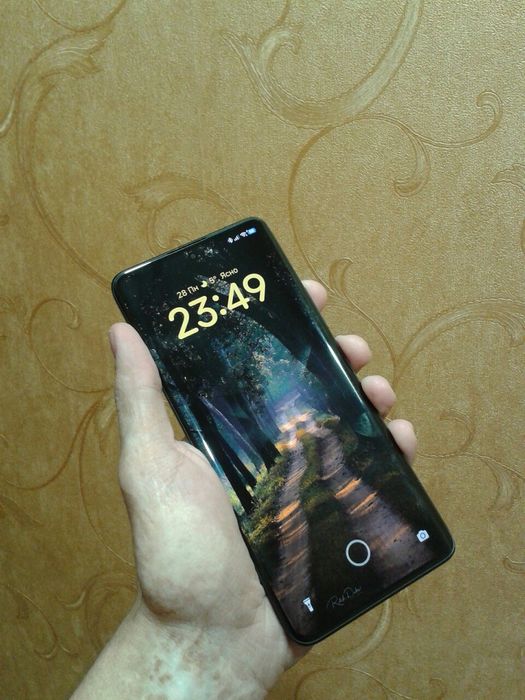Xiaomi Redmi Note 13 Pro Plus 5G 8/256Gb