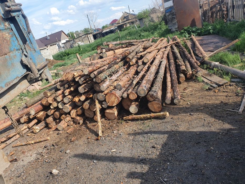 Продам дрова сосна