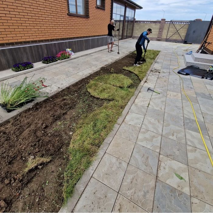 Деревья, цветы, газон