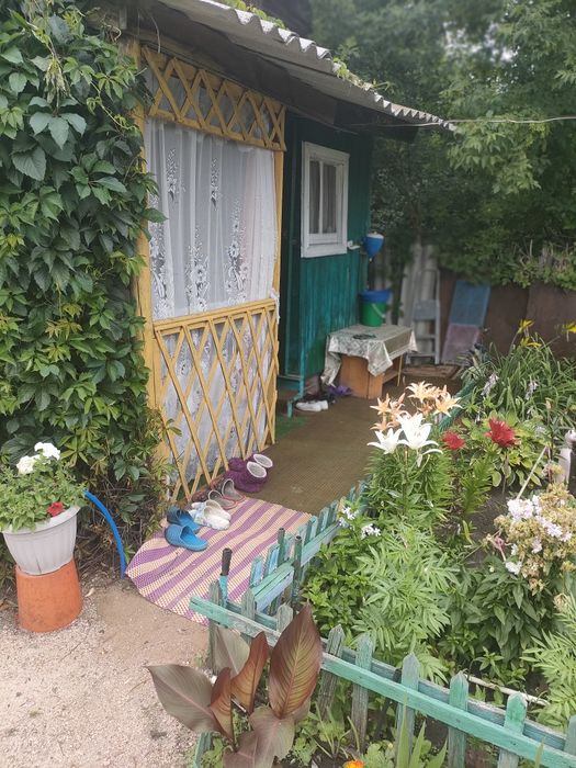 Продам дачу в Ромашке