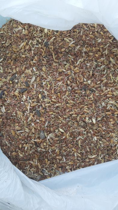 В продаже зерноотходы, отруби, комбикорм.