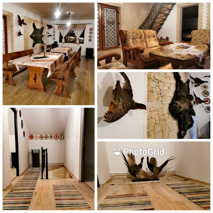 Închiriez Cabana cu Jacuzii-ciubar, sauna, Valea Gepisului