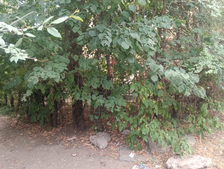 2х комн квартира в Каскелене