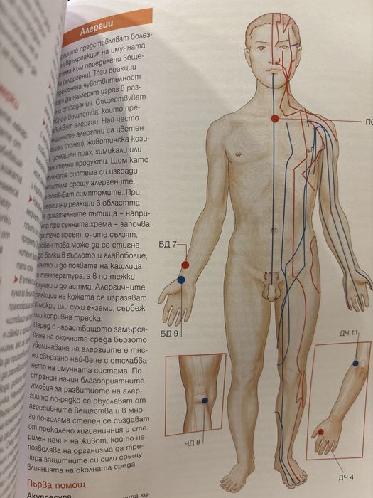 Енциклопедия на масажа