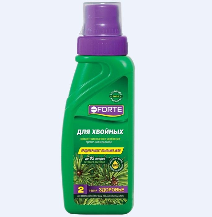 Bona Forte бона форте