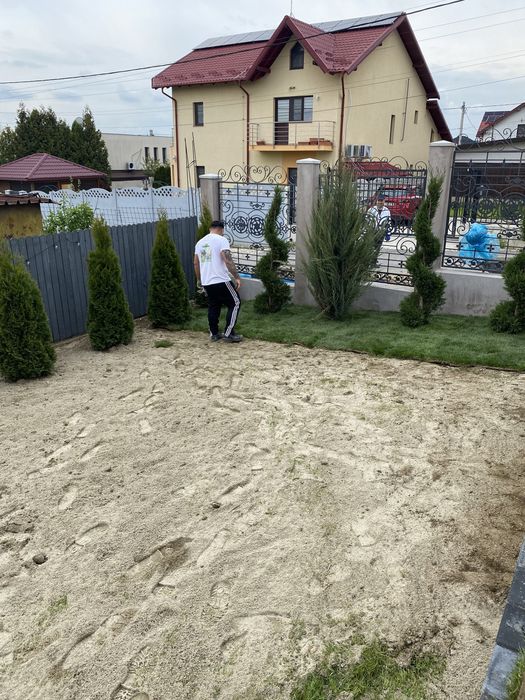 Gazon rulou  rustic sau sport