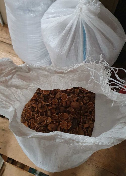 Vând coajă de nucă