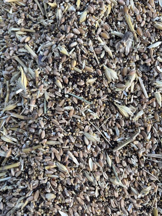 Зерноотходы продам