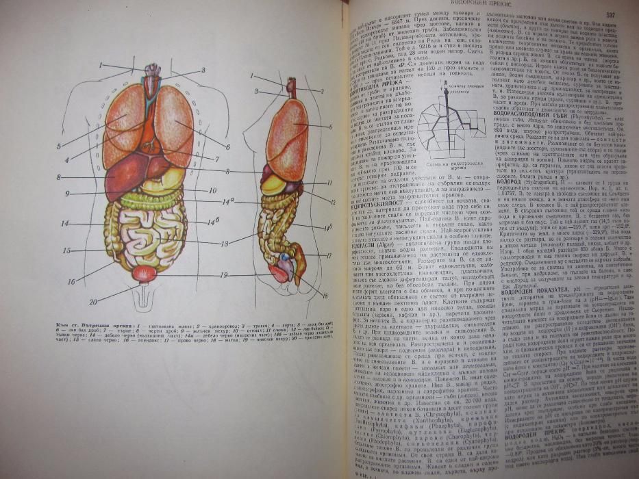 Кратка българска енциклопедия