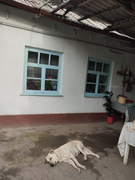 Срочно продается дом