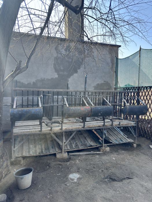 Qoy xona 4 tali sotiladi