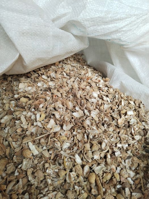 Qoʻy uchun yem (yer yongʻoq pochoq)