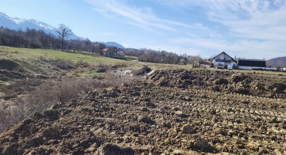 Teren de vanzare Bran