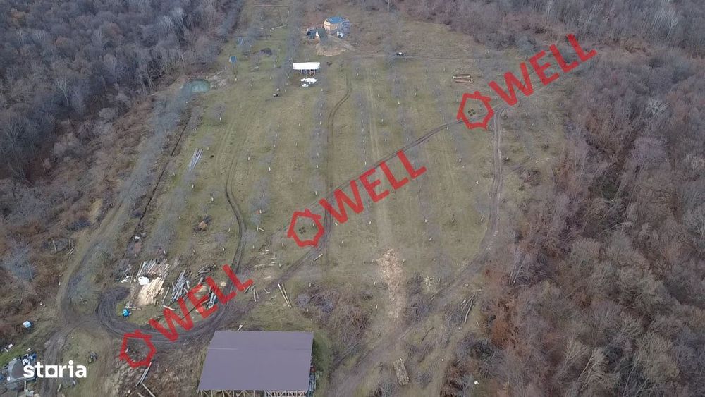 Teren extravilan de 25.274 m² de vânzare în Calnic, lângă pădure!