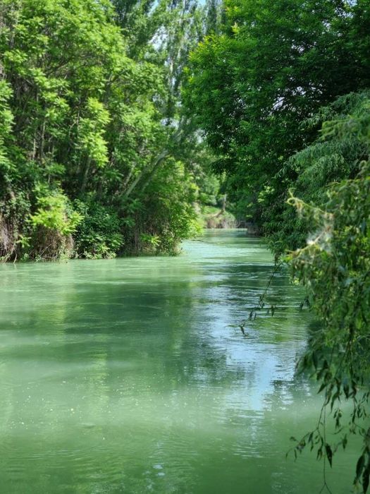 Уникальный дом на берегу реки Особняк 6 ком 7.2 сотки г. ЧИРЧИК