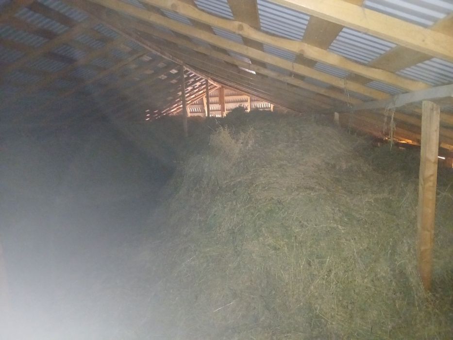 Lucerna de vanzare