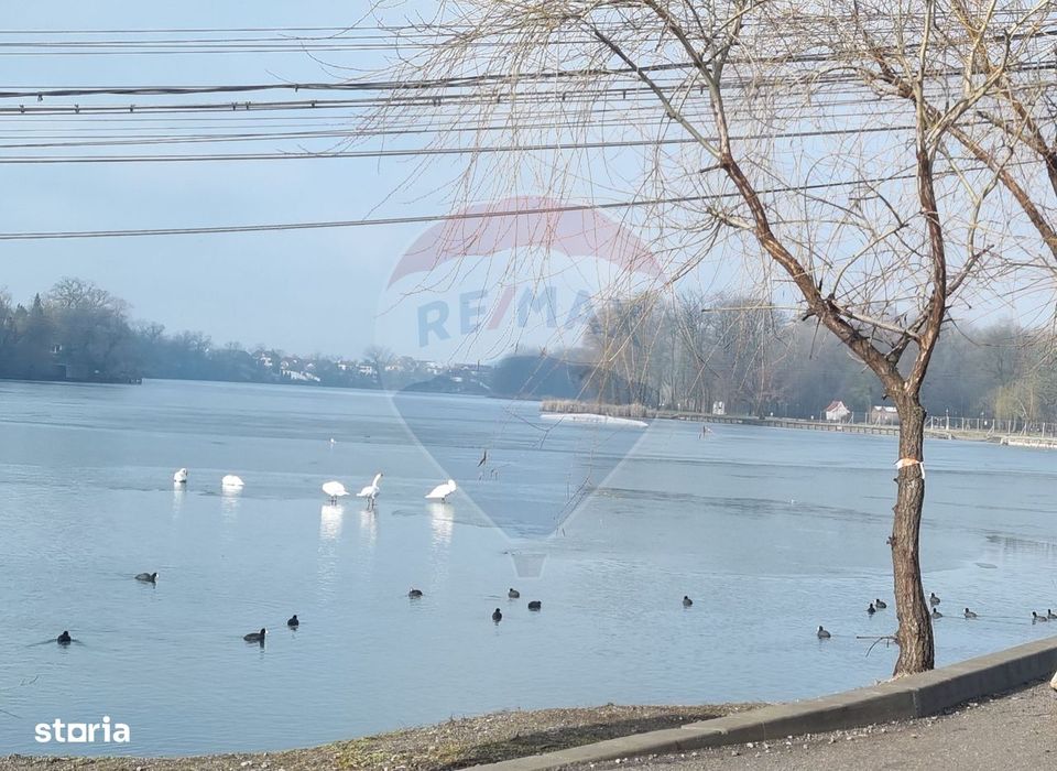 Teren 625mp Mogosoaia / Strada Livezilor