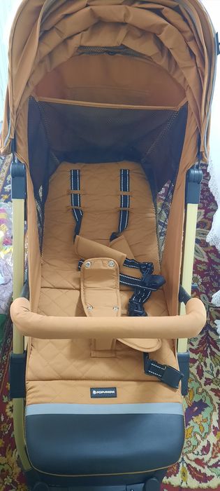 Новая коляска яркими цветами