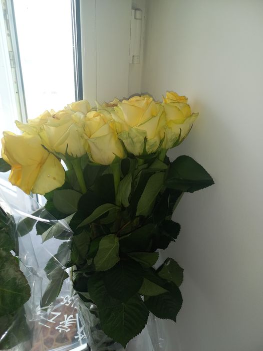 Букет цветов  цветы