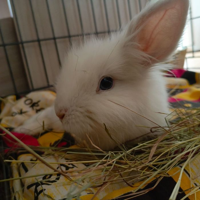 Голубоглазый блондин