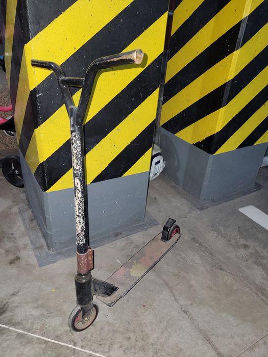 Отдам даром бесплатно