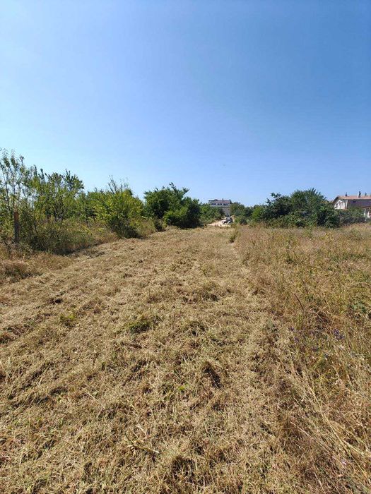 Топ цена за косене на висока трева/храсти с трактор косачка и мулчер.