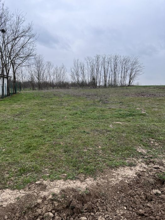 Teren intravilan Podul Ilfovatului-Buturugeni